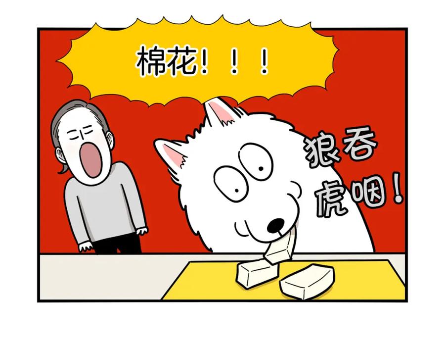 《我的狗子叫棉花》第9话 偷吃贼 第33页