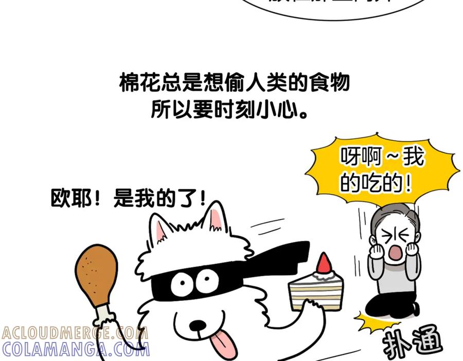 《我的狗子叫棉花》第9话 偷吃贼 第19页