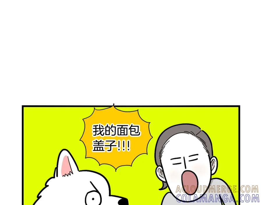 《我的狗子叫棉花》第9话 偷吃贼 第16页