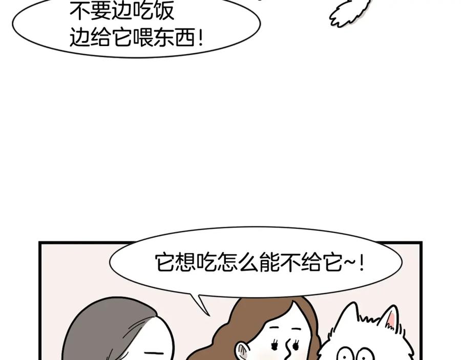 《我的狗子叫棉花》第9话 偷吃贼 第50页