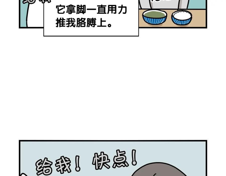 《我的狗子叫棉花》第9话 偷吃贼 第65页