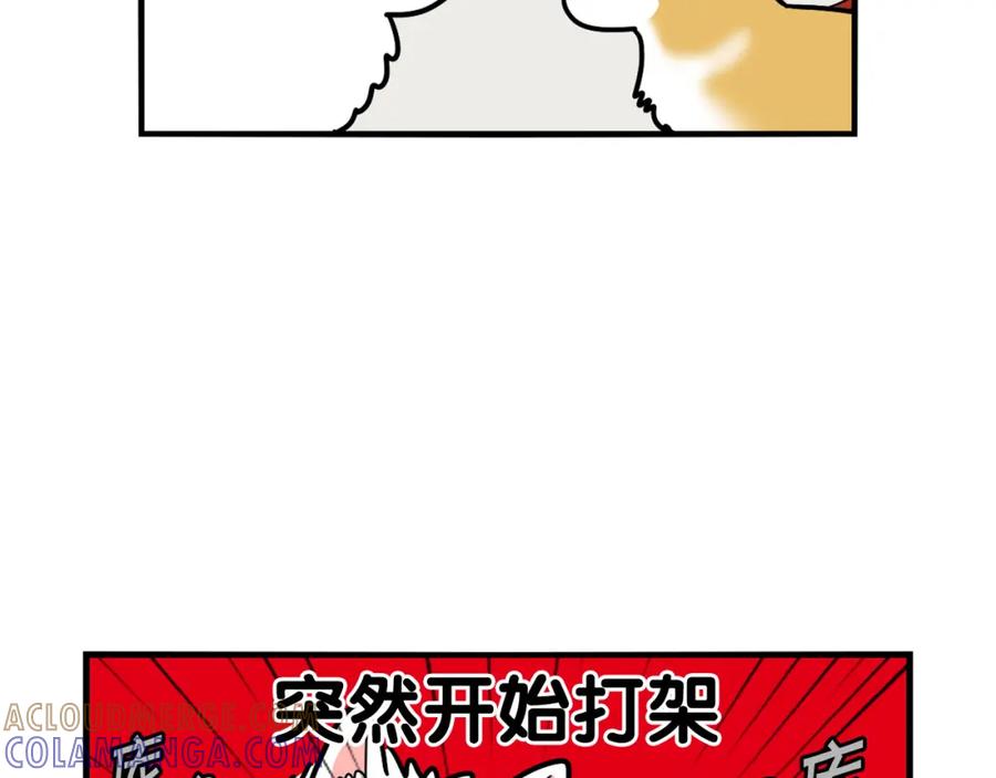《我的狗子叫棉花》第10话 狗子也社交？ 第40页