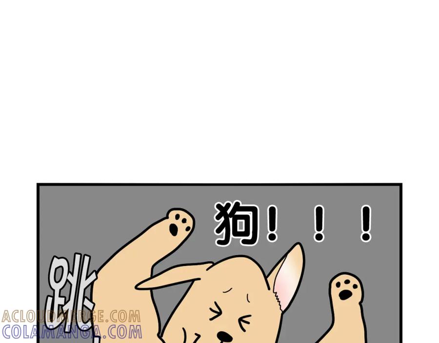 《我的狗子叫棉花》第10话 狗子也社交？ 第52页