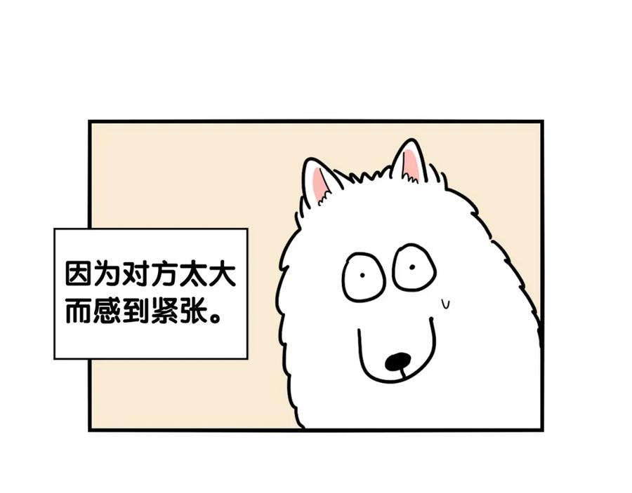 《我的狗子叫棉花》第10话 狗子也社交？ 第51页