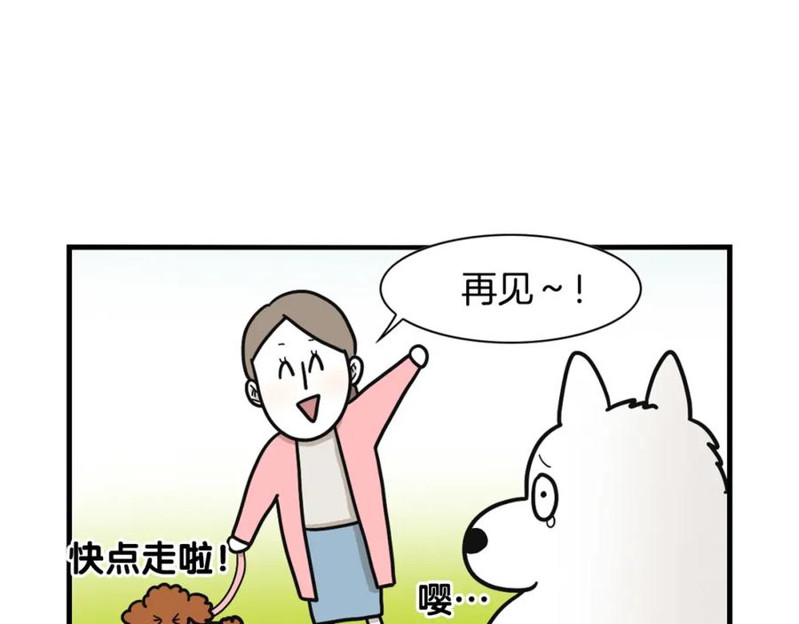 《我的狗子叫棉花》第10话 狗子也社交？ 第18页