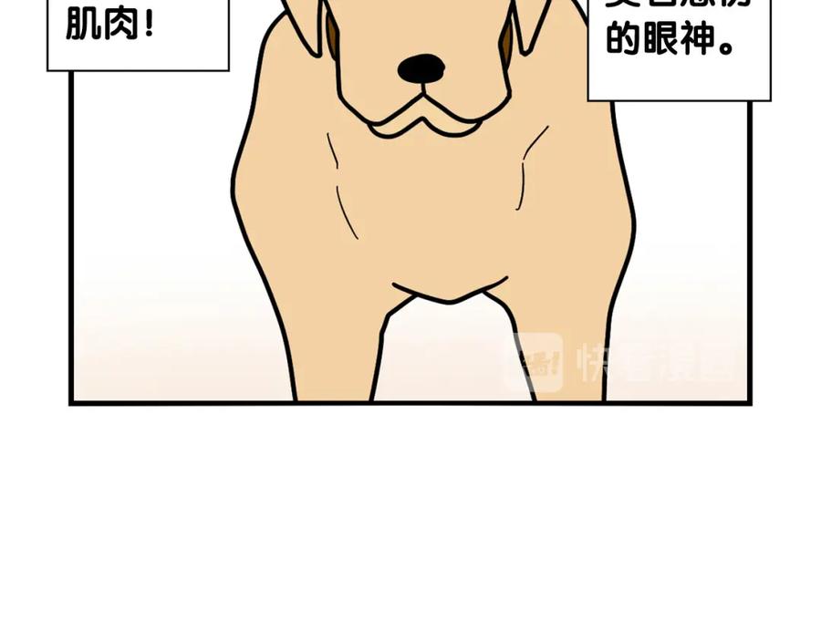 《我的狗子叫棉花》第10话 狗子也社交？ 第50页