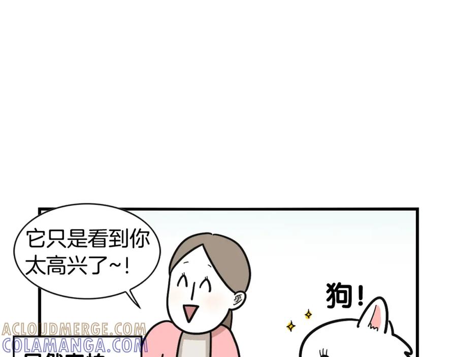 《我的狗子叫棉花》第10话 狗子也社交？ 第13页