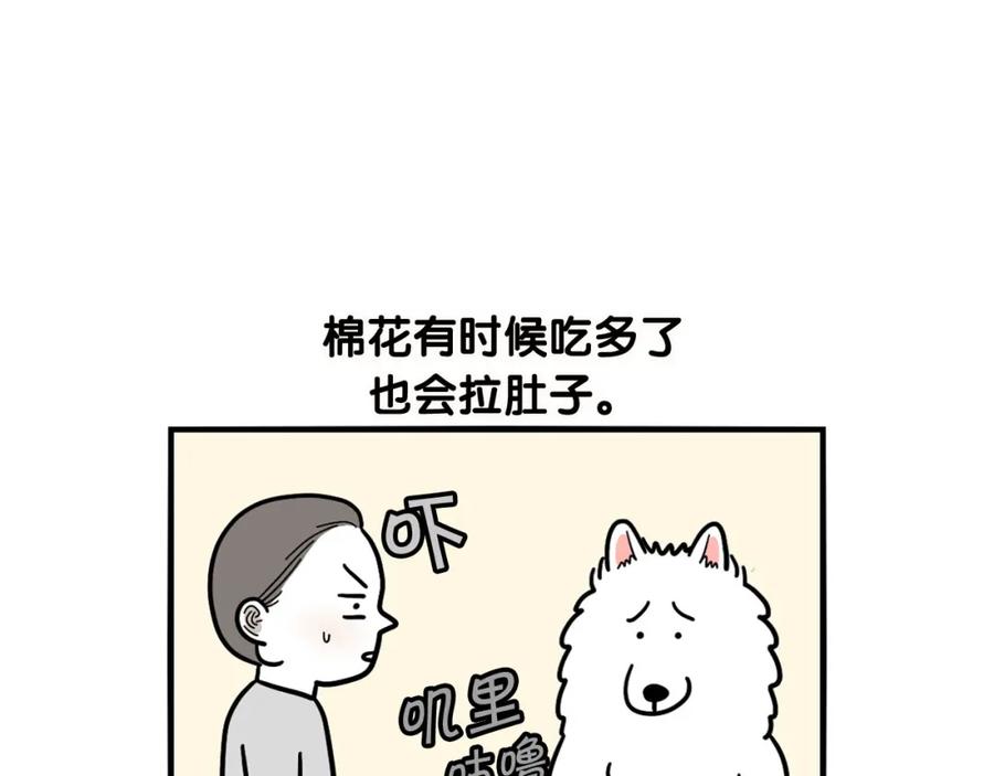 《我的狗子叫棉花》第11话 捡狗粑粑那些事～ 第47页