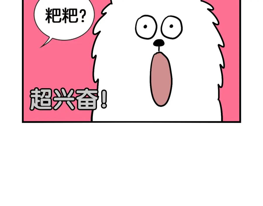 《我的狗子叫棉花》第11话 捡狗粑粑那些事～ 第12页