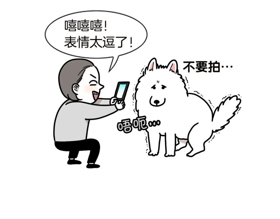 《我的狗子叫棉花》第11话 捡狗粑粑那些事～ 第26页