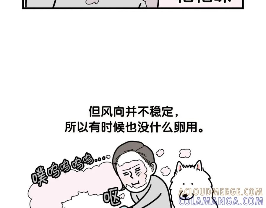 《我的狗子叫棉花》第11话 捡狗粑粑那些事～ 第34页