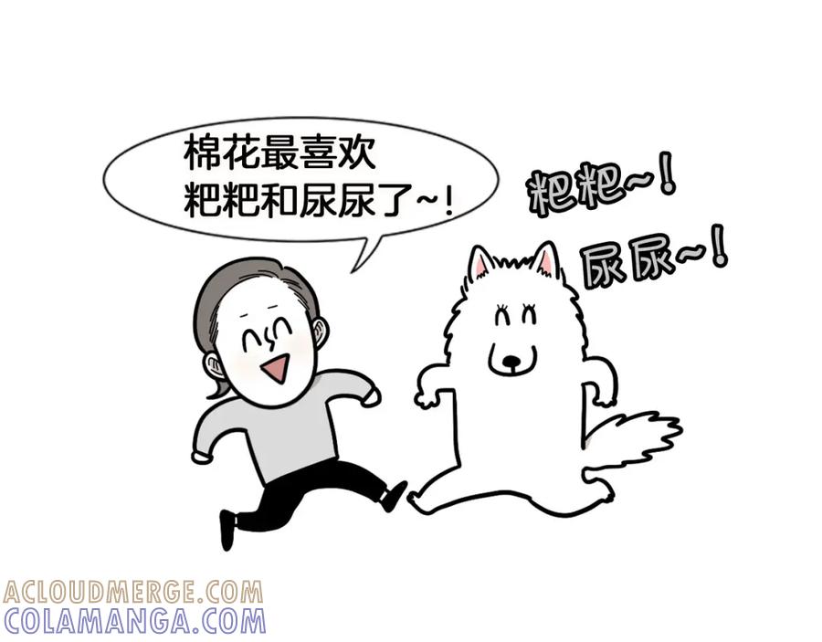 《我的狗子叫棉花》第11话 捡狗粑粑那些事～ 第13页