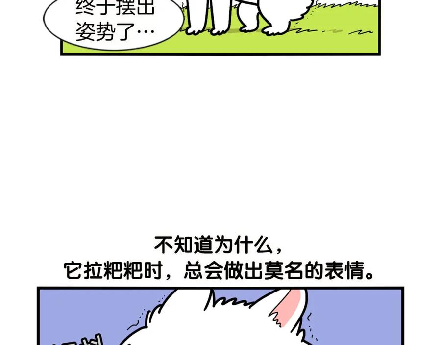 《我的狗子叫棉花》第11话 捡狗粑粑那些事～ 第24页