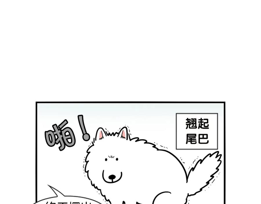 《我的狗子叫棉花》第11话 捡狗粑粑那些事～ 第23页