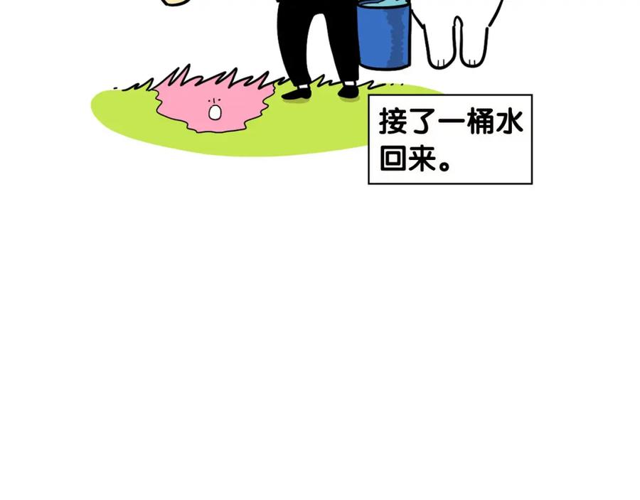 《我的狗子叫棉花》第11话 捡狗粑粑那些事～ 第56页