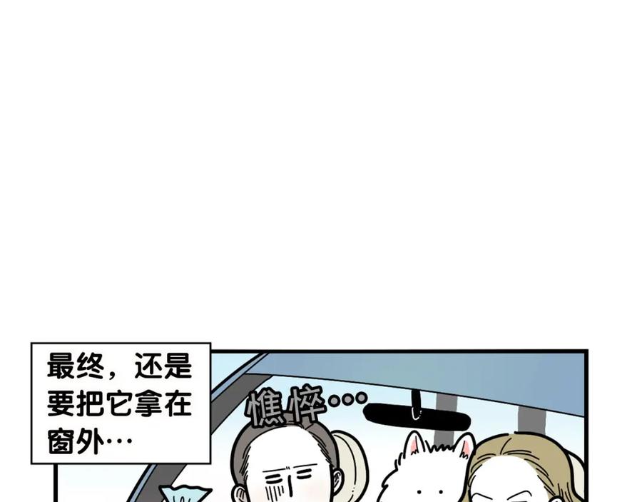 《我的狗子叫棉花》第11话 捡狗粑粑那些事～ 第44页