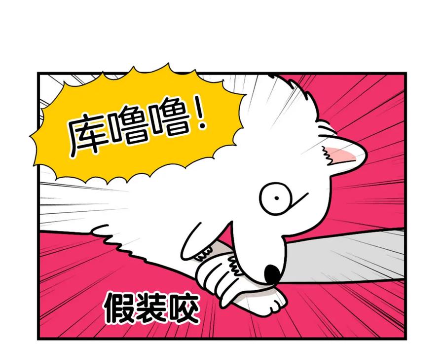 《我的狗子叫棉花》第12话 敏感部位 第14页
