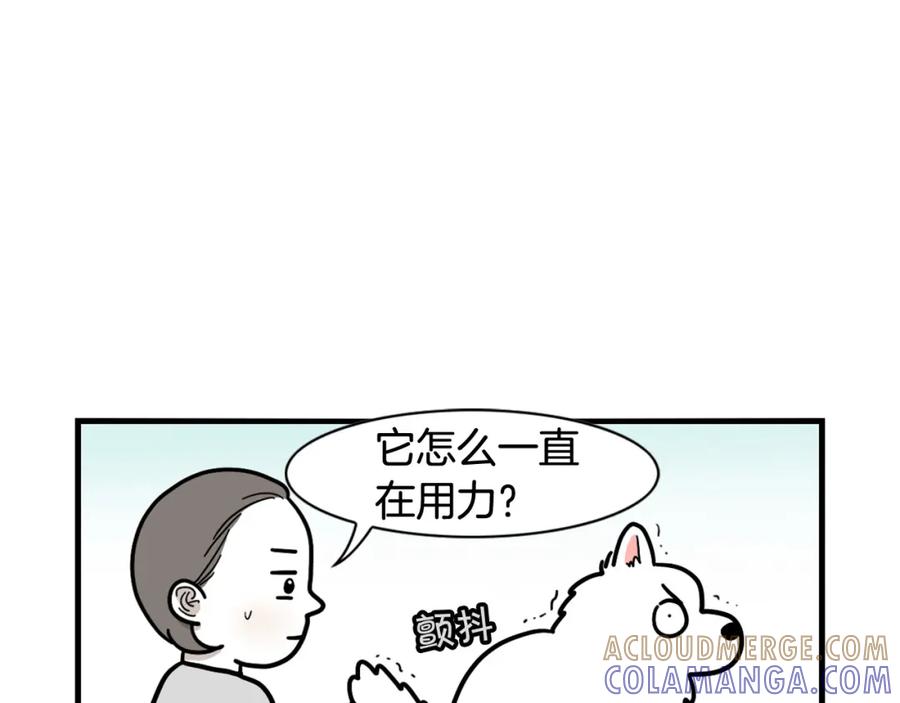 《我的狗子叫棉花》第12话 敏感部位 第70页