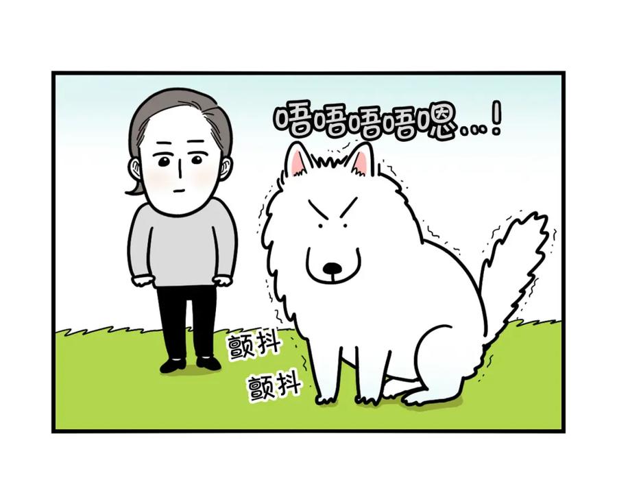 《我的狗子叫棉花》第12话 敏感部位 第69页