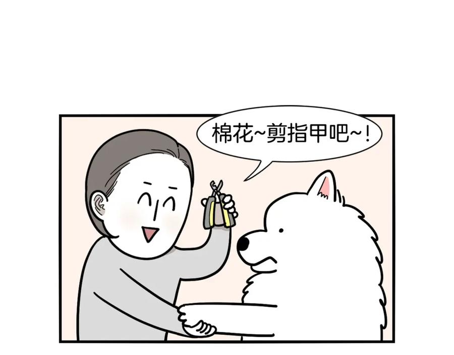 《我的狗子叫棉花》第12话 敏感部位 第38页