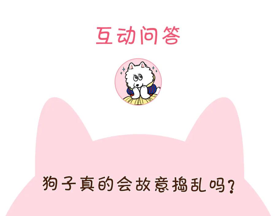 《我的狗子叫棉花》第13话 拆家大王 第94页