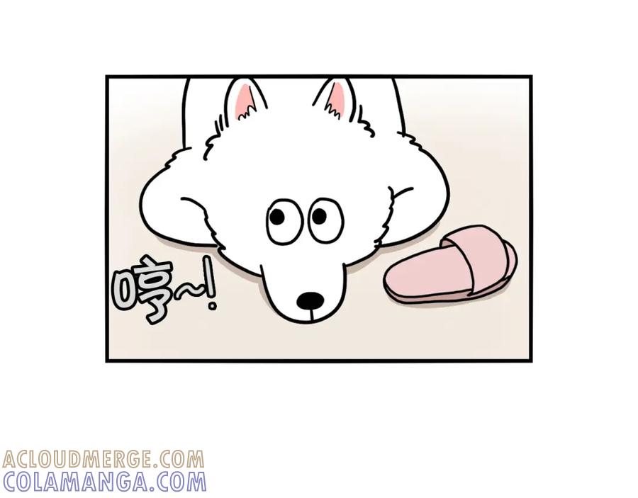 《我的狗子叫棉花》第13话 拆家大王 第45页