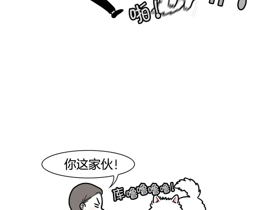 《我的狗子叫棉花》第13话 拆家大王 第18页