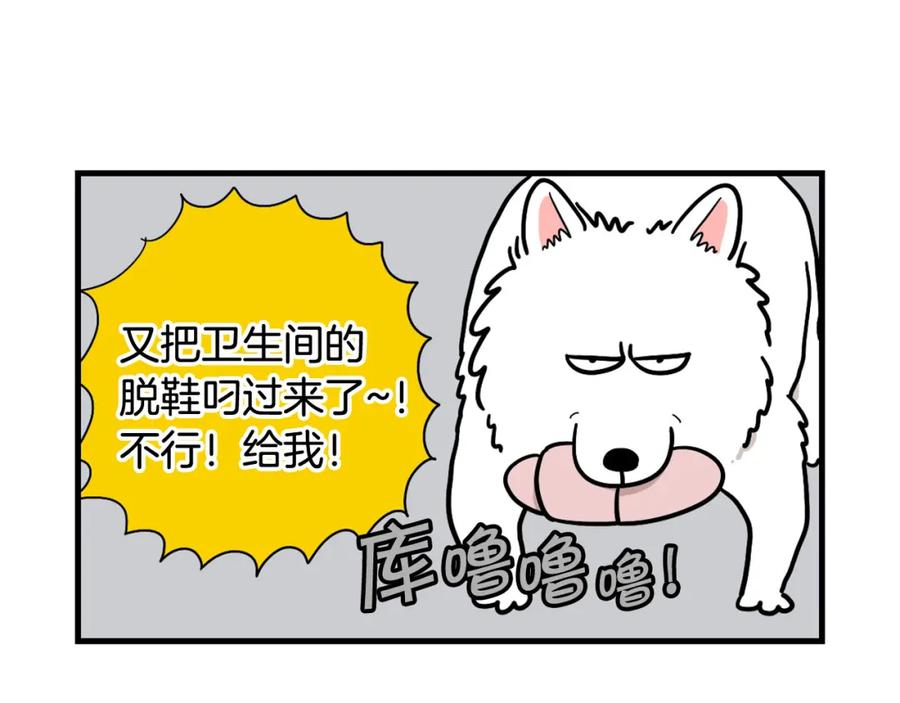 《我的狗子叫棉花》第13话 拆家大王 第16页