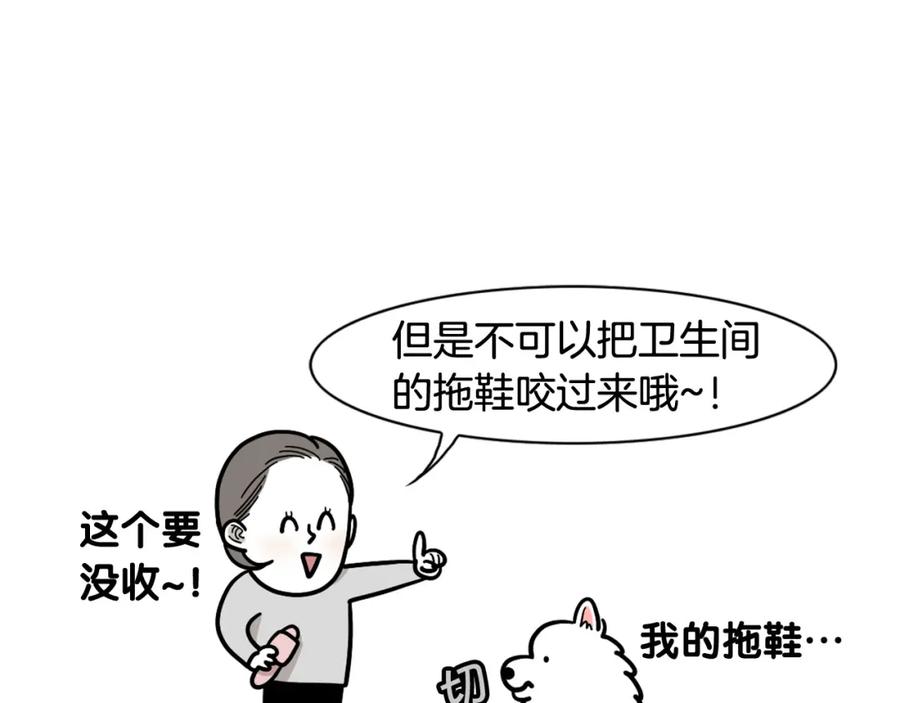 《我的狗子叫棉花》第13话 拆家大王 第10页
