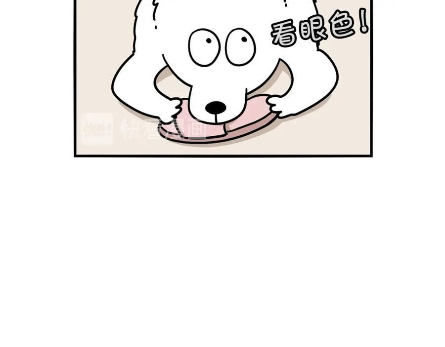 《我的狗子叫棉花》第13话 拆家大王 第39页
