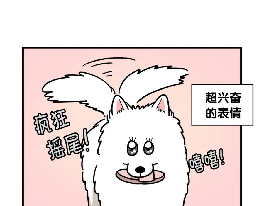 《我的狗子叫棉花》第13话 拆家大王 第52页