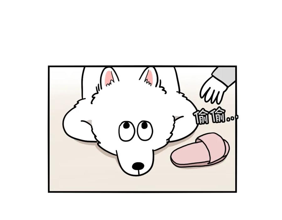 《我的狗子叫棉花》第13话 拆家大王 第46页