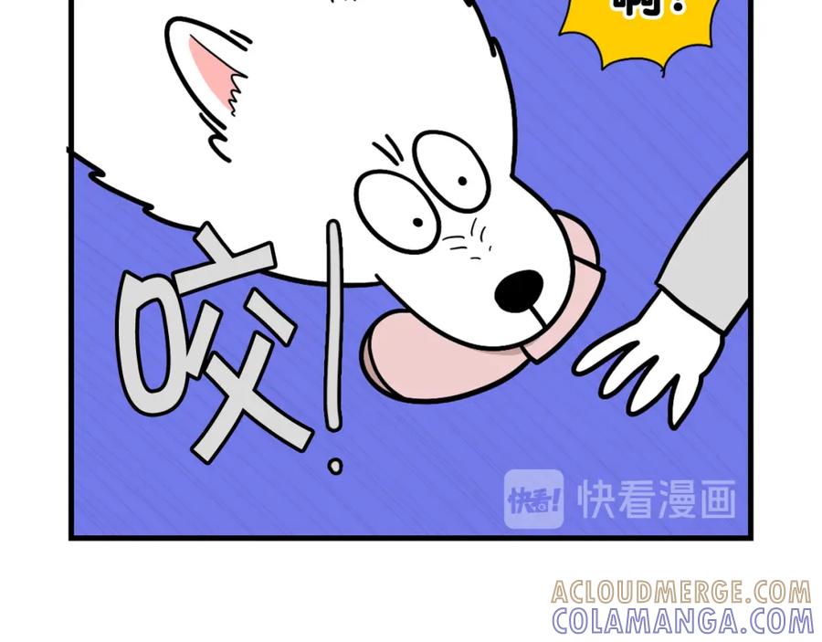 《我的狗子叫棉花》第13话 拆家大王 第49页