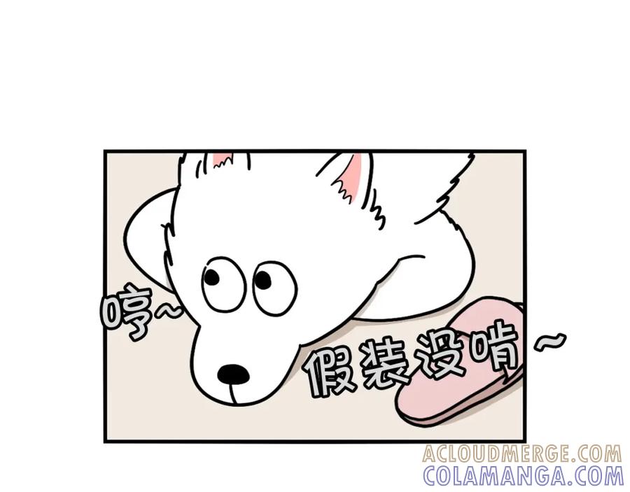 《我的狗子叫棉花》第13话 拆家大王 第41页