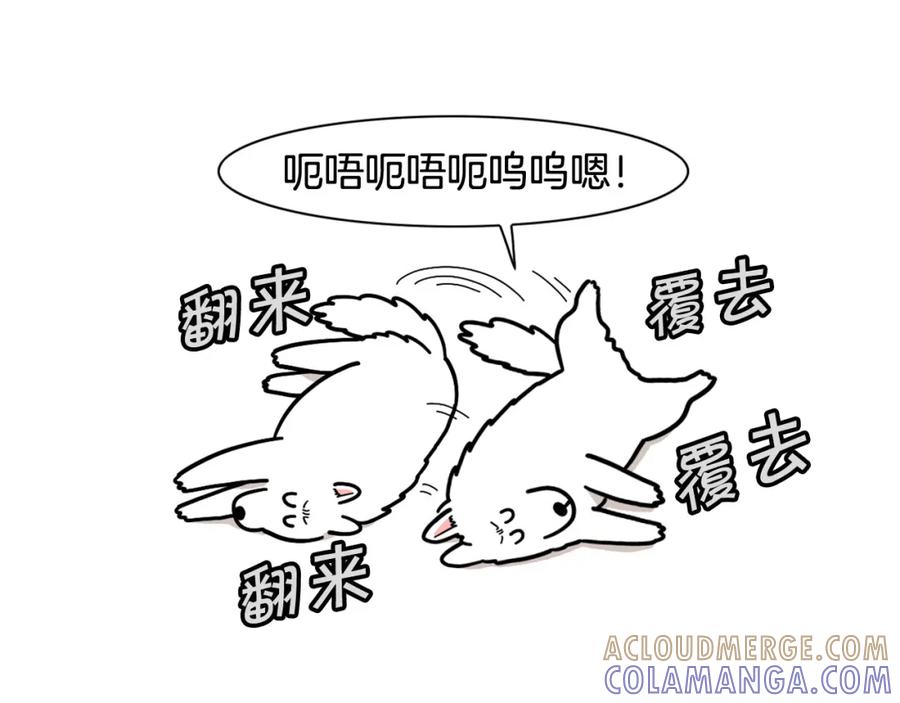 《我的狗子叫棉花》第14话 挤挤更健康～ 第17页