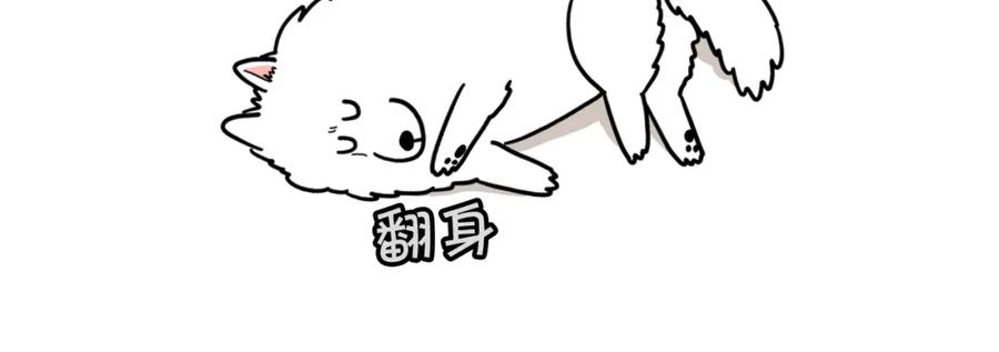 《我的狗子叫棉花》第14话 挤挤更健康～ 第15页