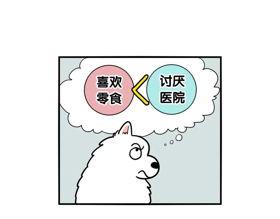 《我的狗子叫棉花》第15话 医院之行 第43页