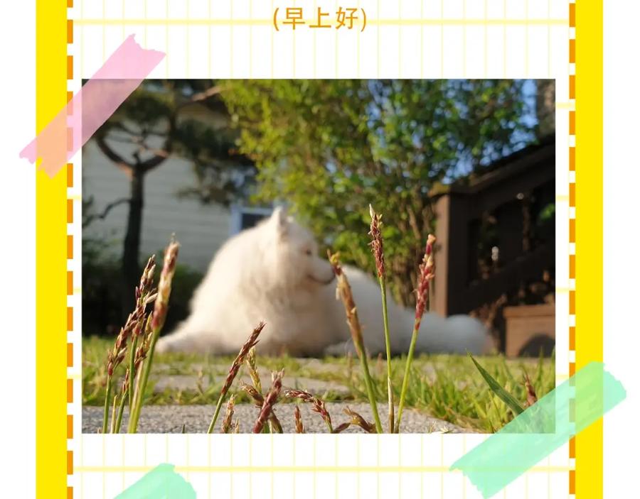 《我的狗子叫棉花》第15话 医院之行 第95页