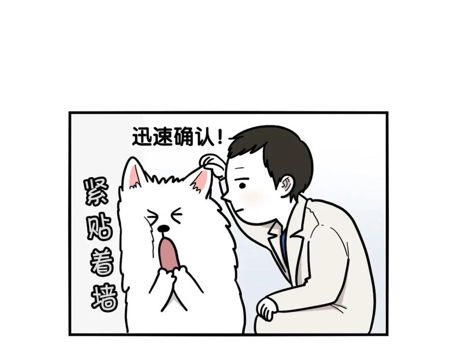 《我的狗子叫棉花》第15话 医院之行 第55页