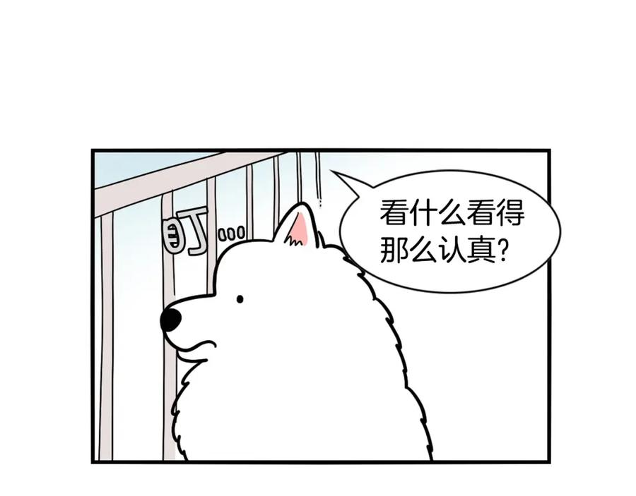 《我的狗子叫棉花》第15话 医院之行 第87页