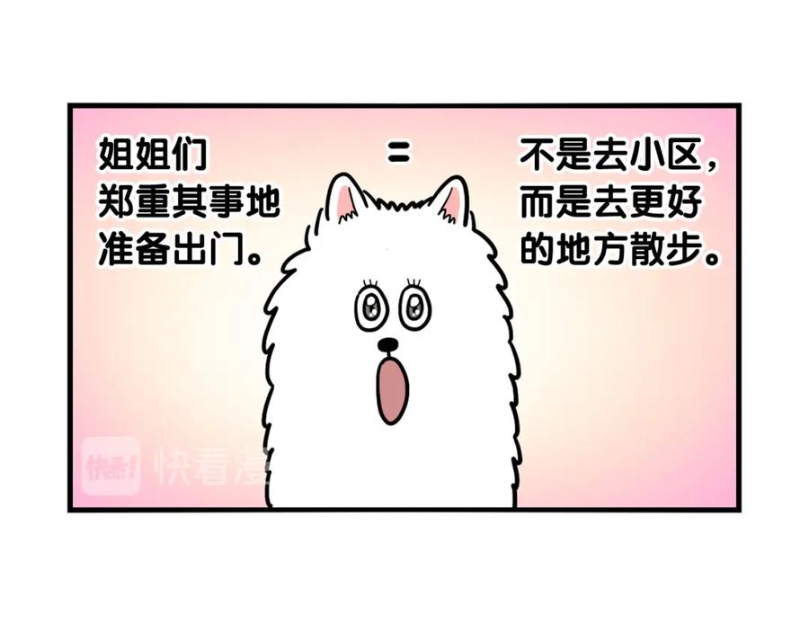 《我的狗子叫棉花》第15话 医院之行 第16页