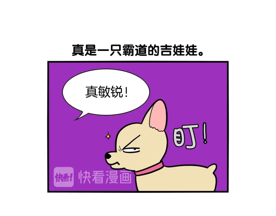 《我的狗子叫棉花》第16话 大狗的软肋 第82页