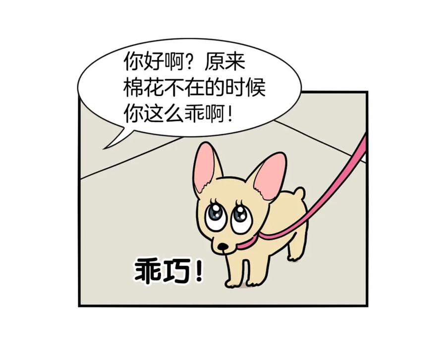 《我的狗子叫棉花》第16话 大狗的软肋 第75页
