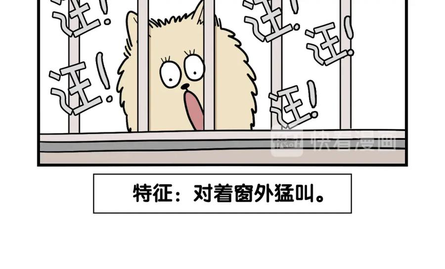 《我的狗子叫棉花》第16话 大狗的软肋 第47页
