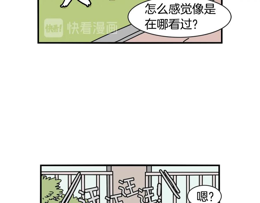《我的狗子叫棉花》第16话 大狗的软肋 第31页