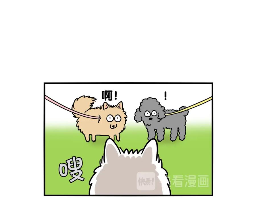 《我的狗子叫棉花》第16话 大狗的软肋 第38页