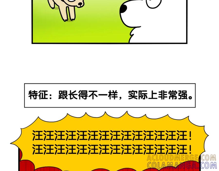 《我的狗子叫棉花》第16话 大狗的软肋 第61页