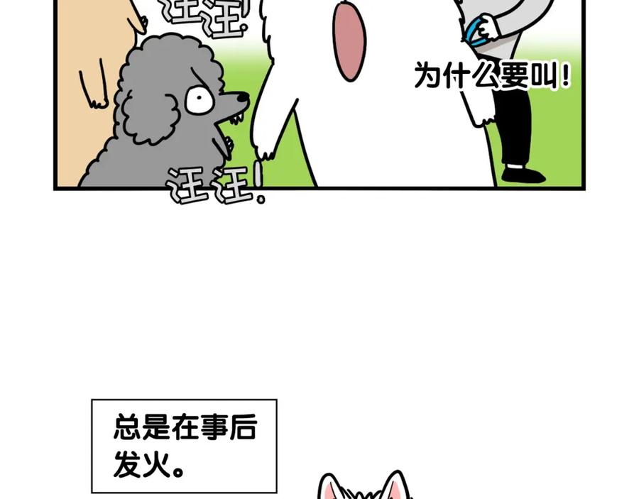 《我的狗子叫棉花》第16话 大狗的软肋 第44页