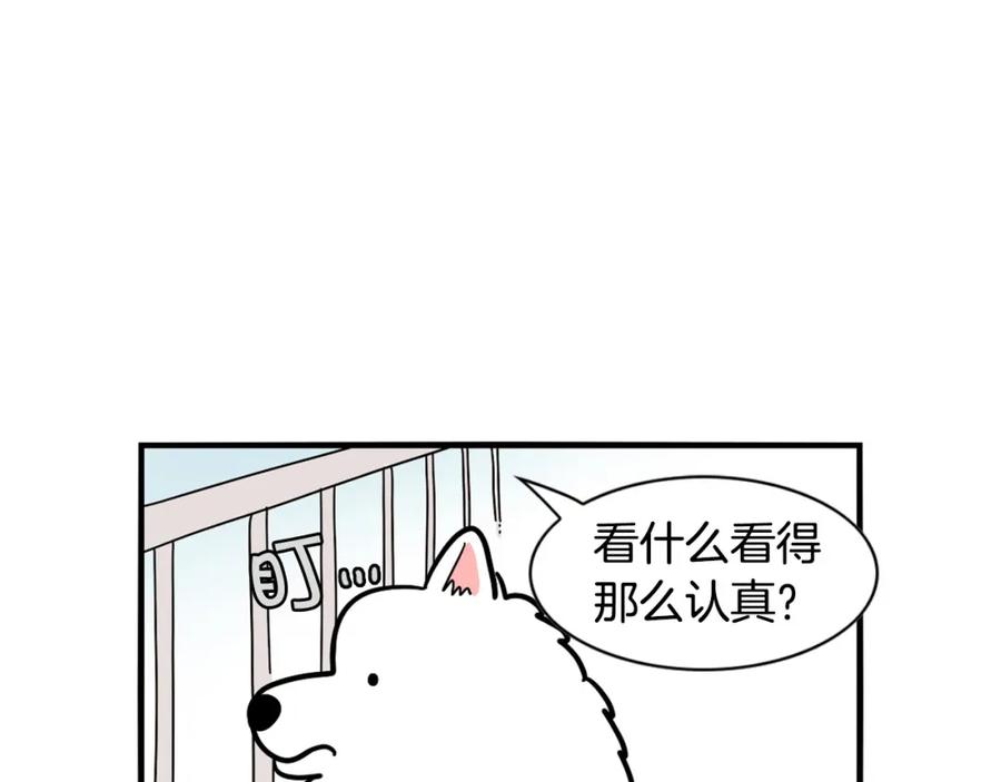 《我的狗子叫棉花》第16话 大狗的软肋 第10页