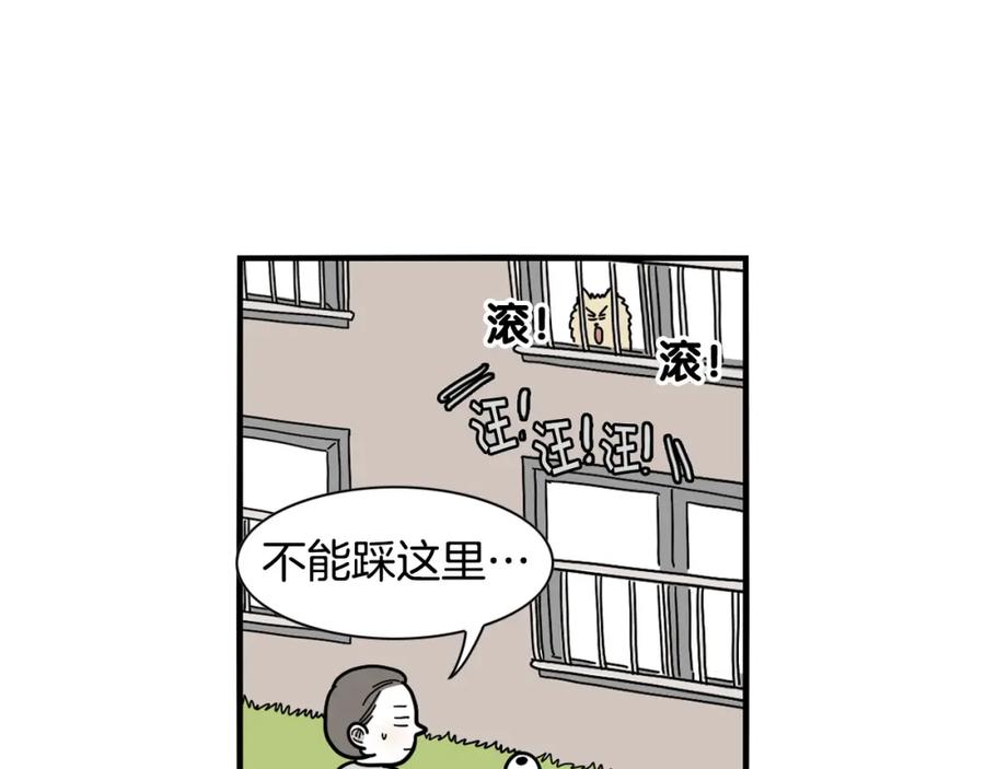 《我的狗子叫棉花》第16话 大狗的软肋 第48页